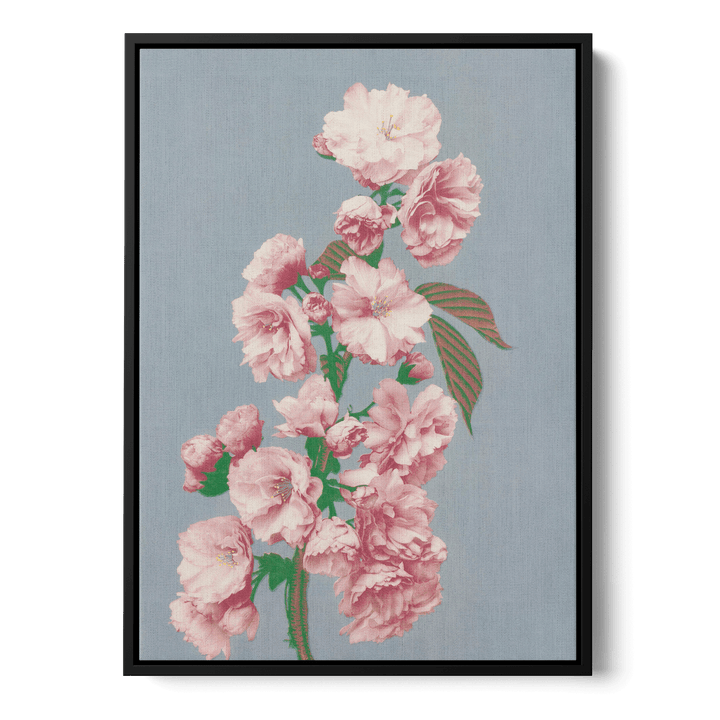 Ogawa Kazumasa - Cherry Blossom Canvas