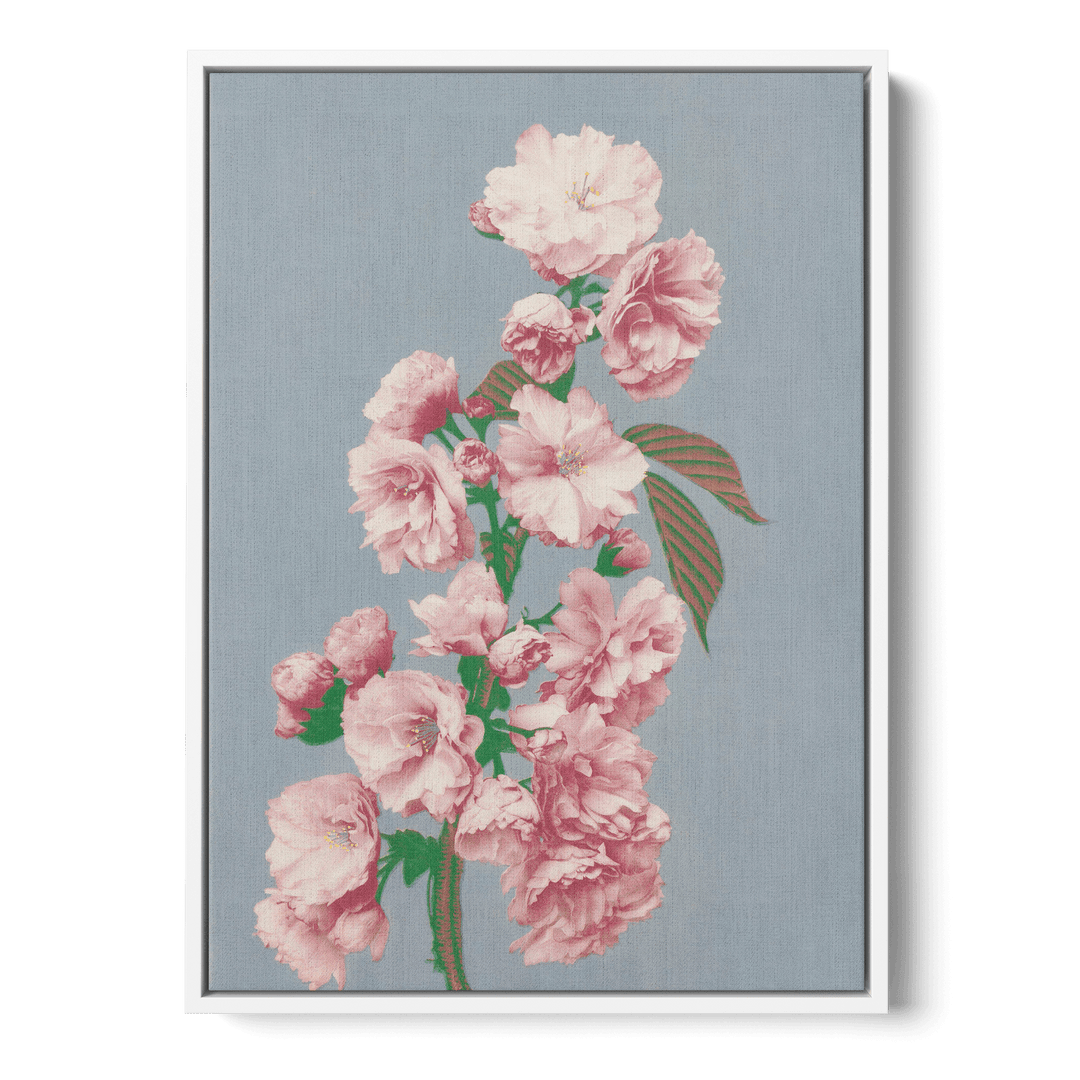 Ogawa Kazumasa - Cherry Blossom Canvas