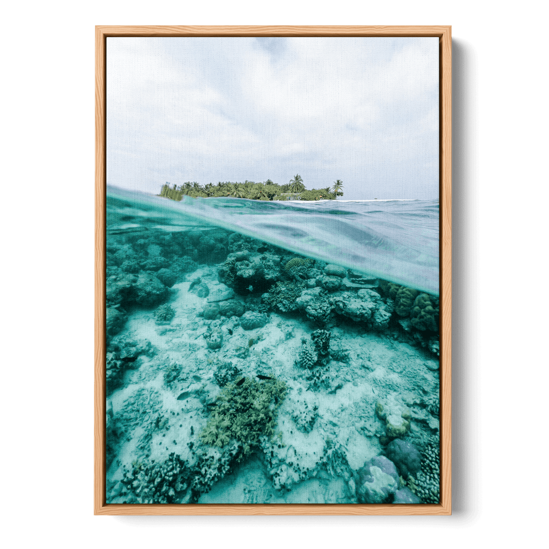 A Look Underwater Canvas
