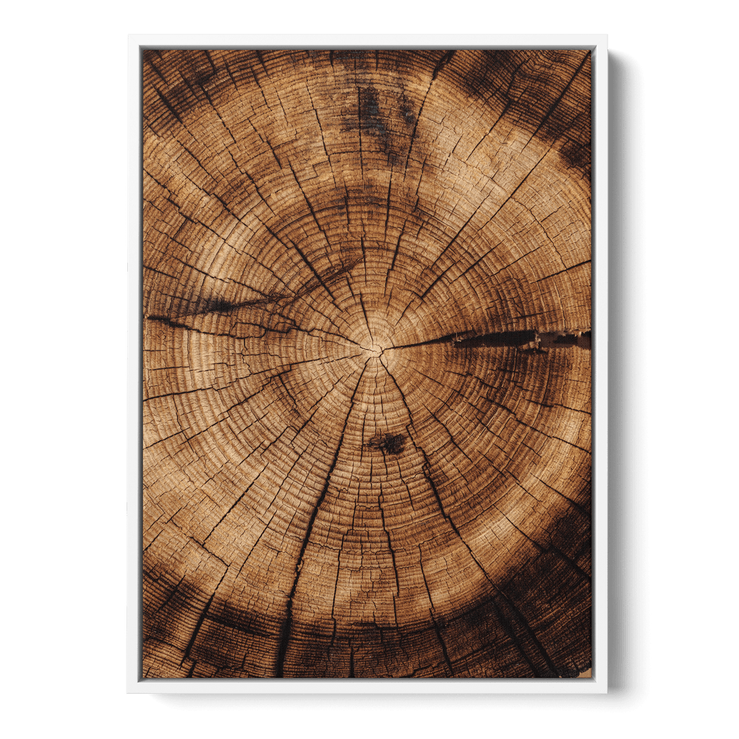 Close Up Of Tree Canvas