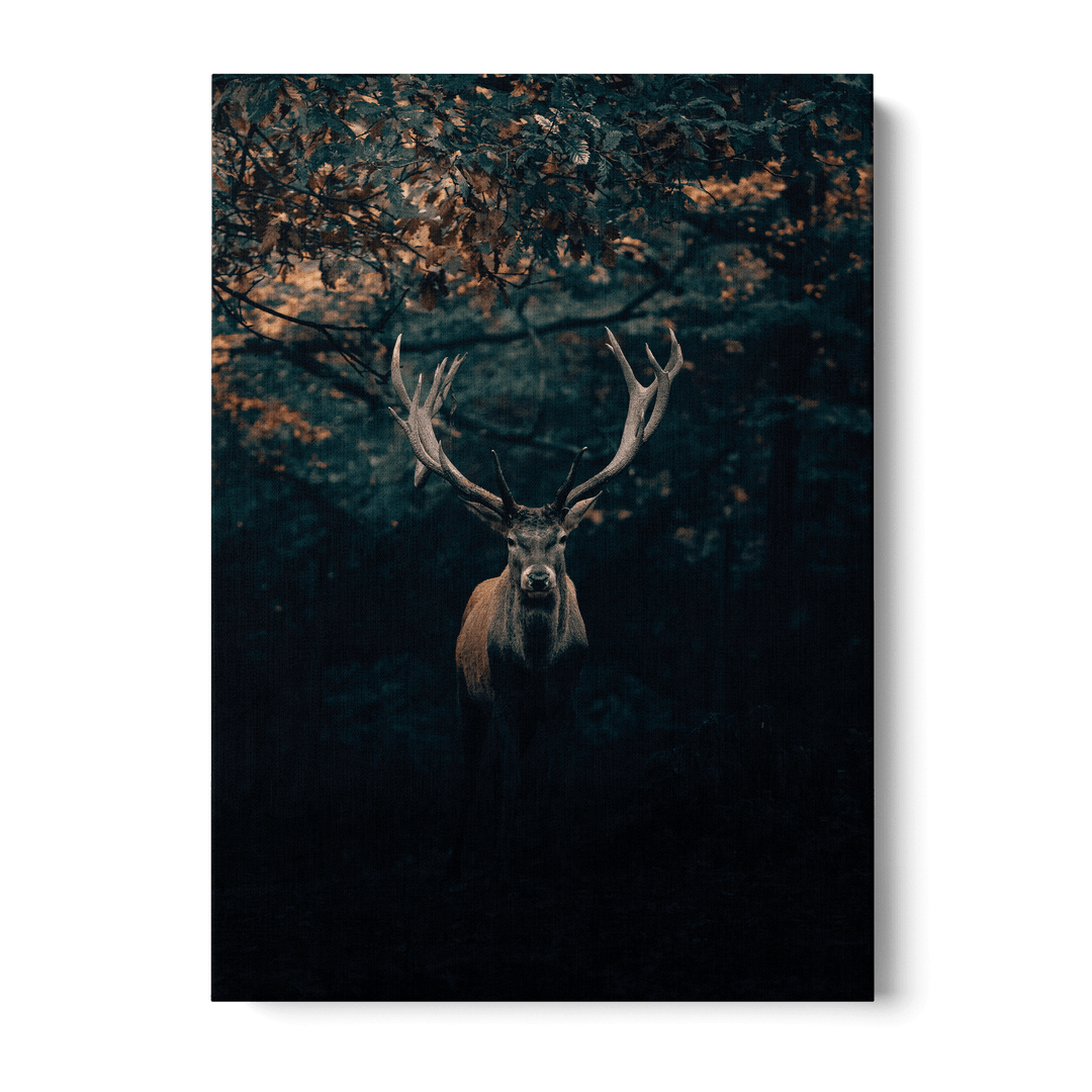 Deer In The Forest Canvas