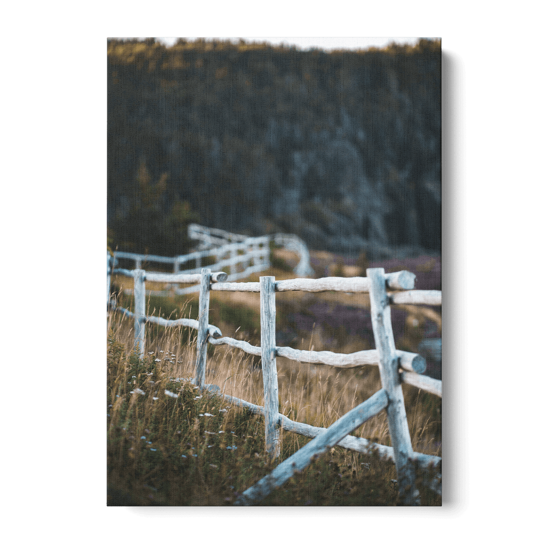 Fence In The Field Canvas