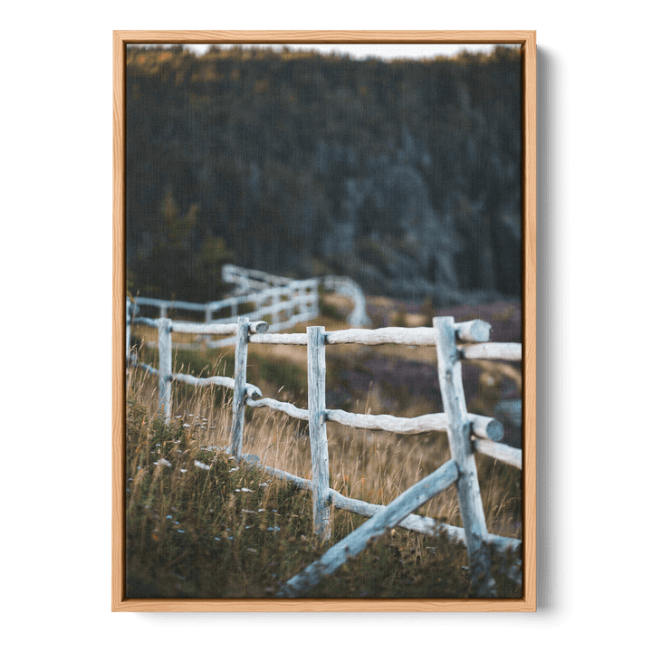 Fence In The Field Canvas