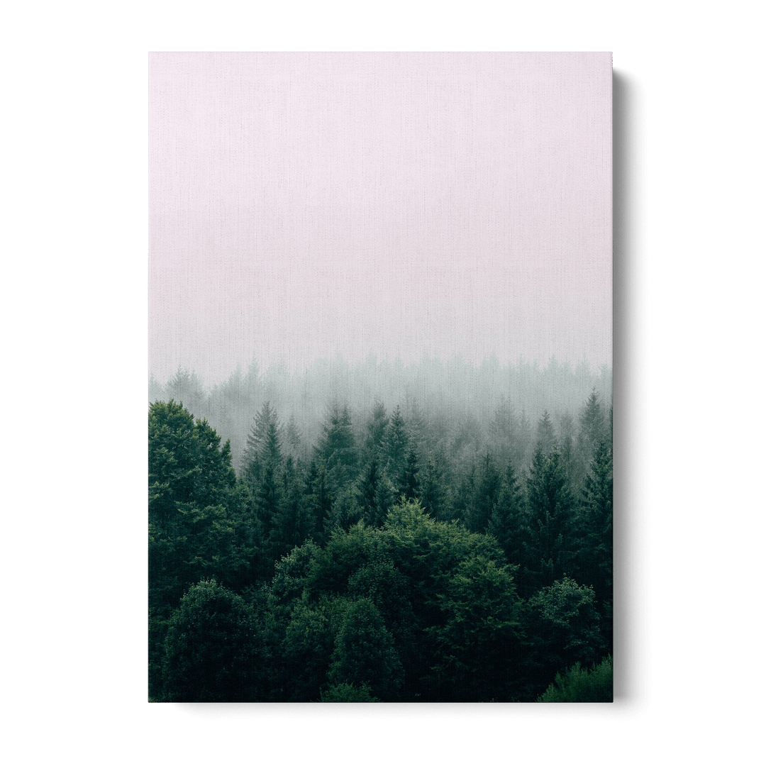 Fog Over The Forest Canvas