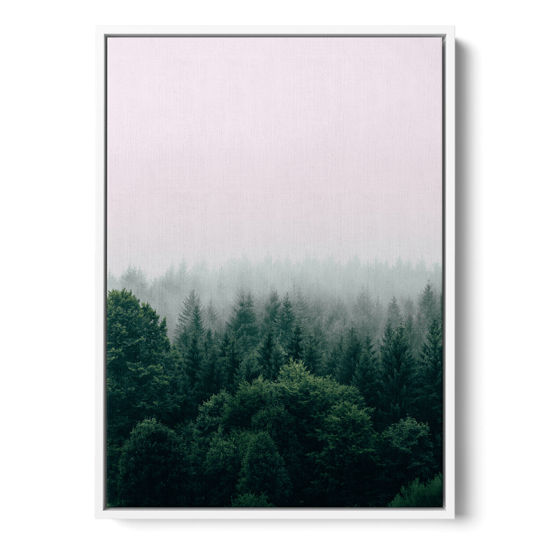 Fog Over The Forest Canvas