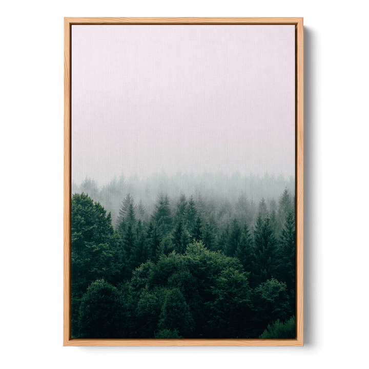 Fog Over The Forest Canvas