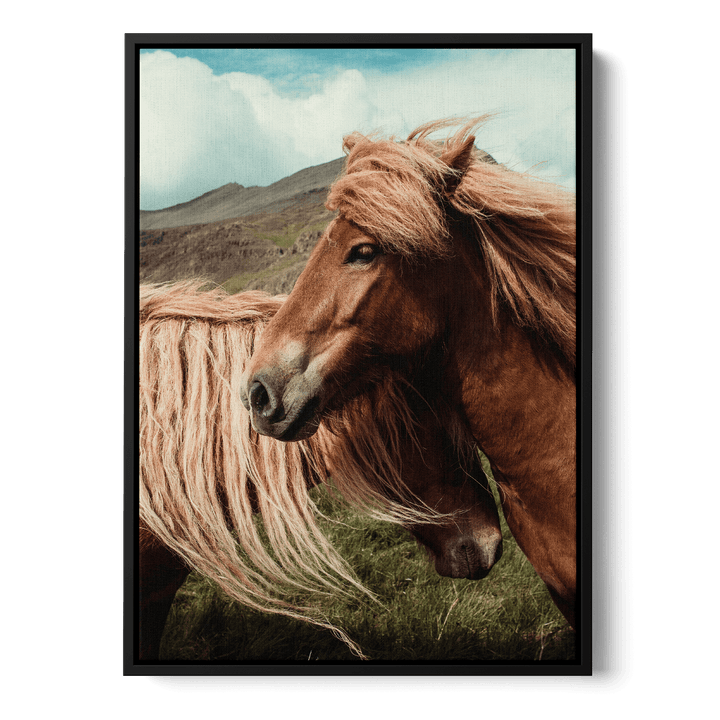 Loving Horses Canvas