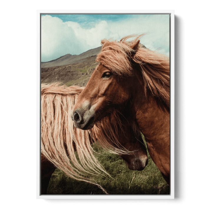 Loving Horses Canvas