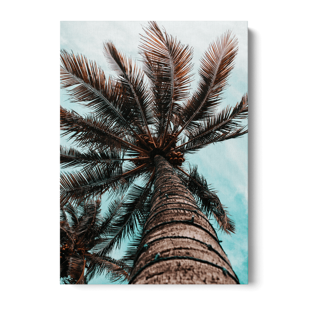 Palm Tree Canvas