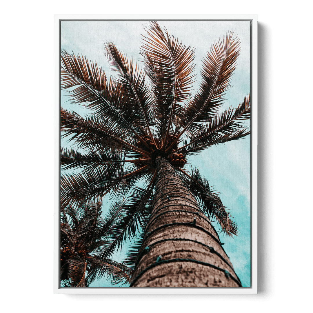 Palm Tree Canvas