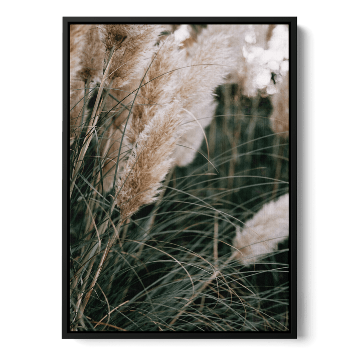 Pampas Canvas