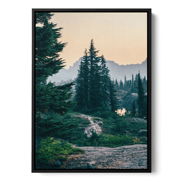 Sunshine In The Woods 2 Canvas