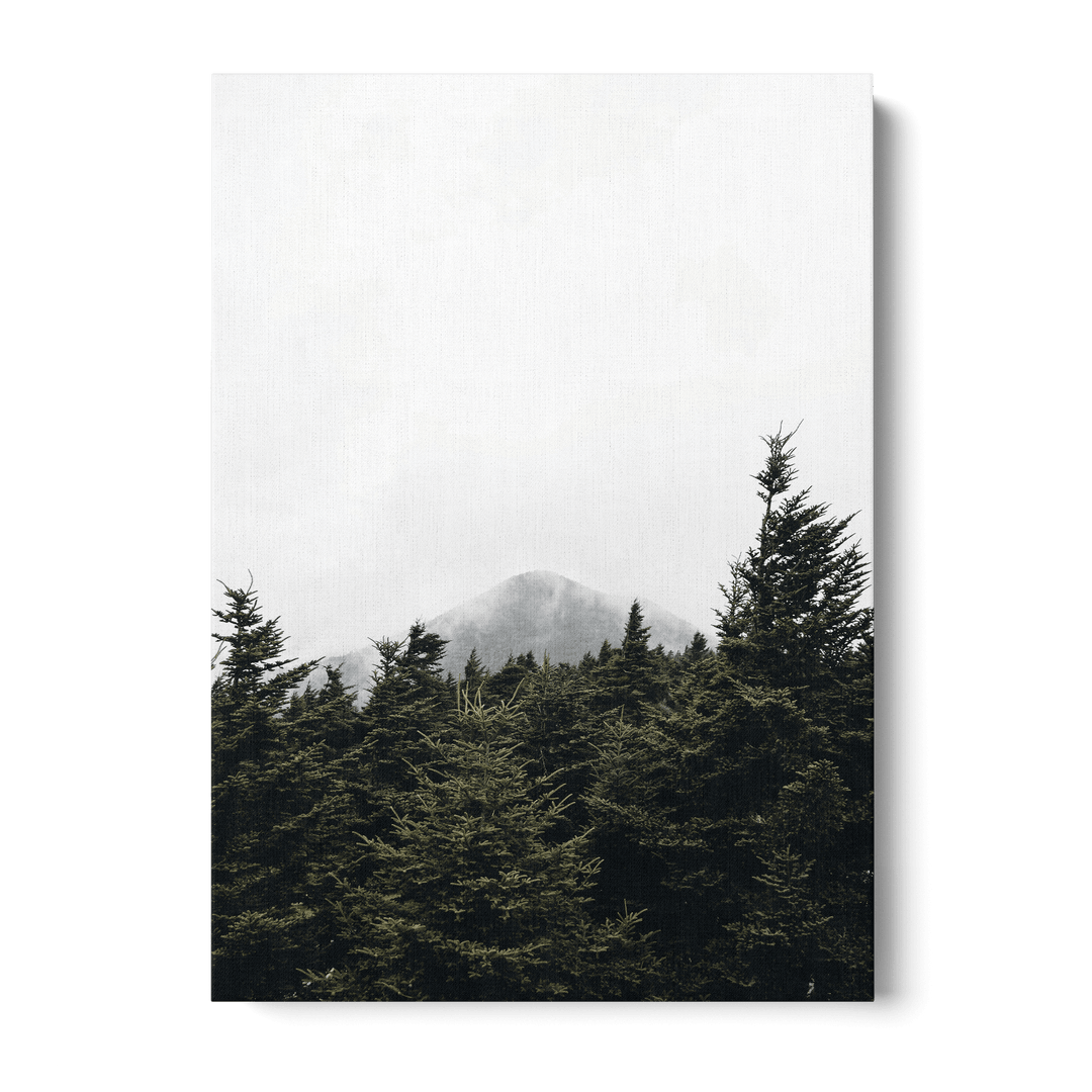Top Of Pinetrees Canvas