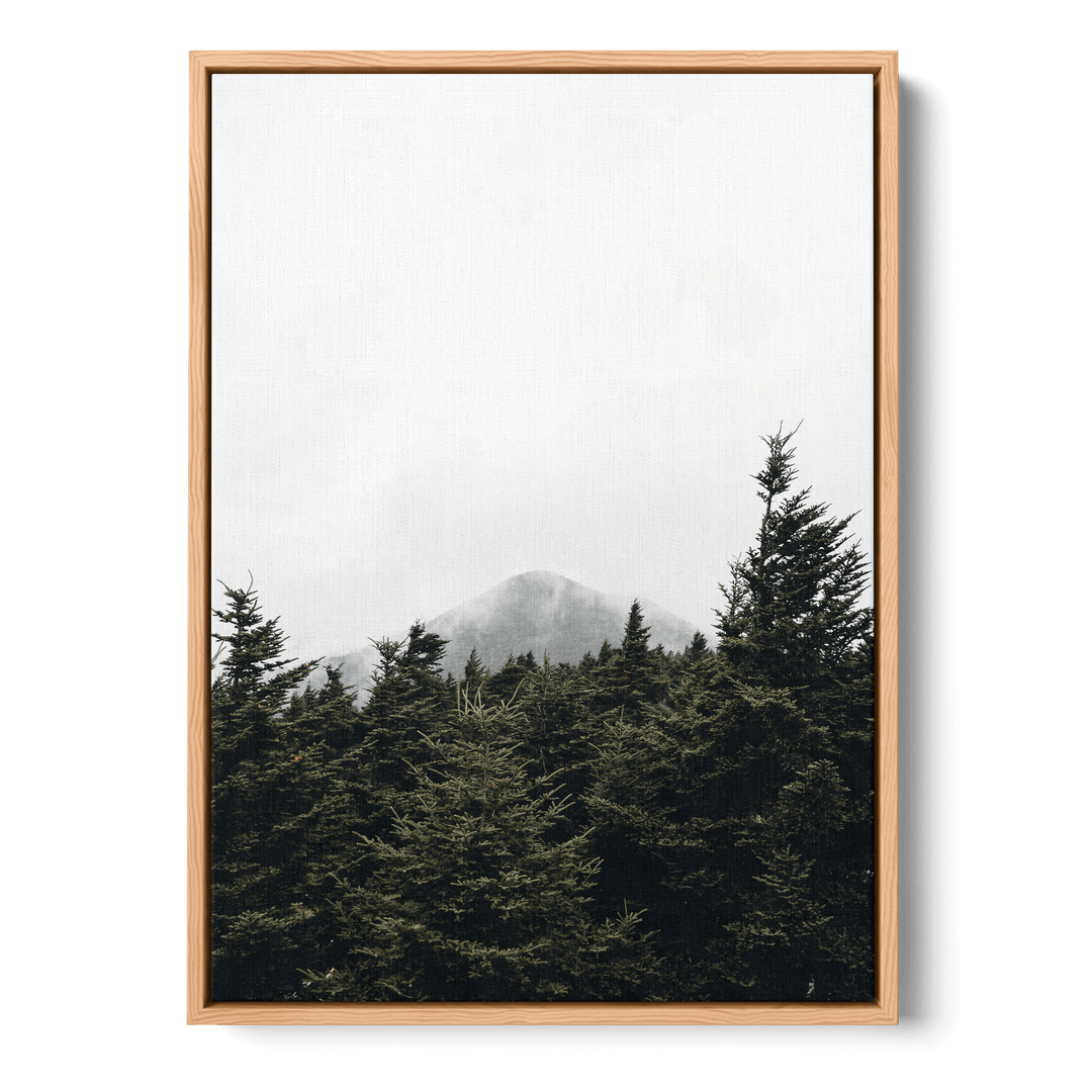 Top Of Pinetrees Canvas