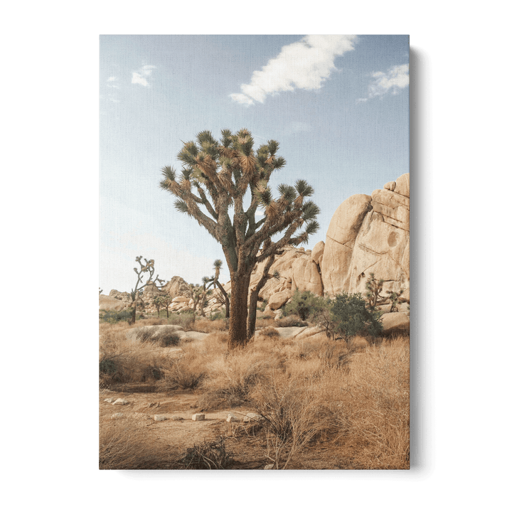 Tree In The Desert Canvas