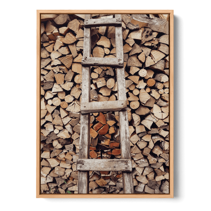 Tree Ladder Canvas