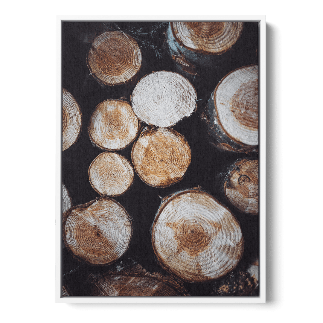 Tree Stumps Canvas