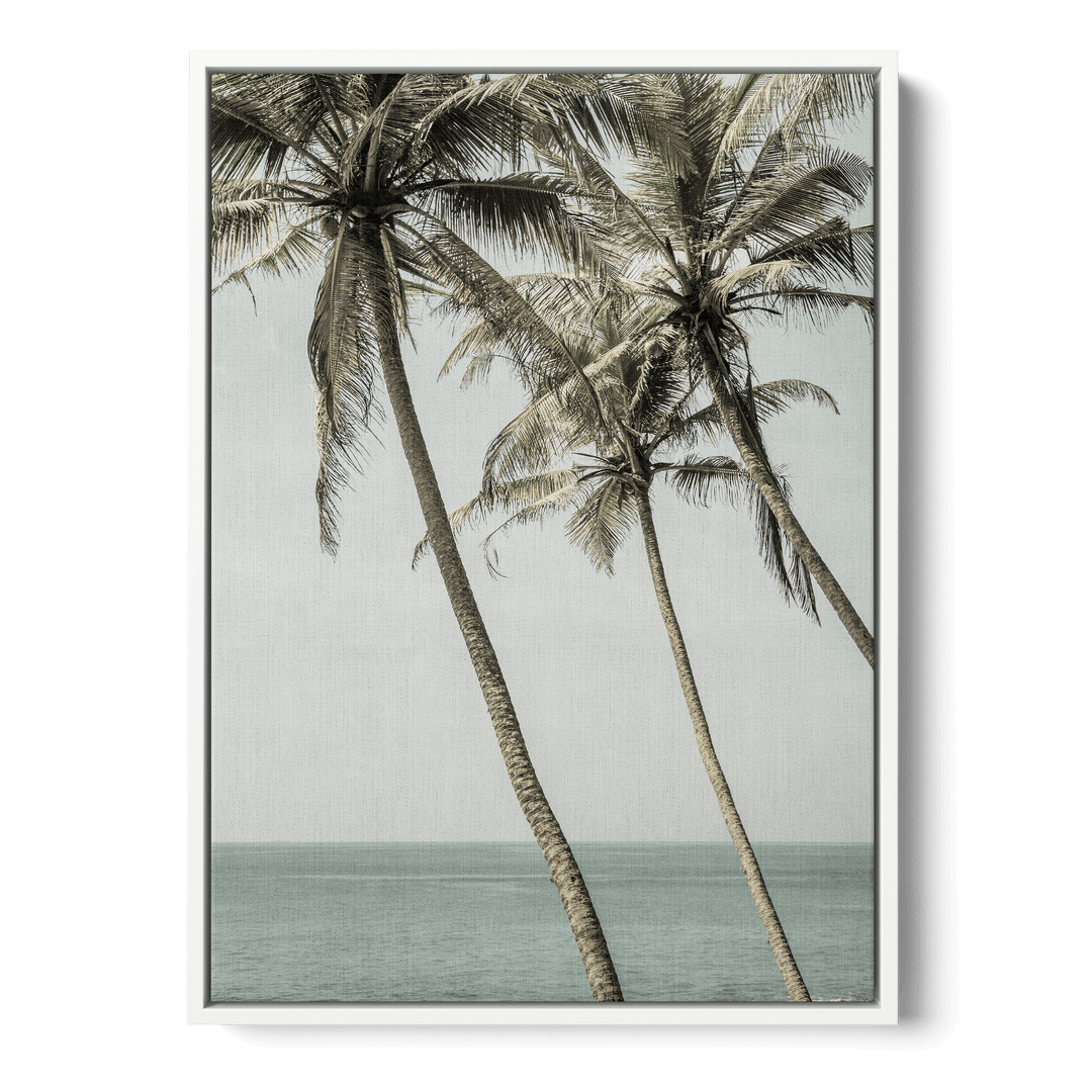 Sun Kissed Canvas