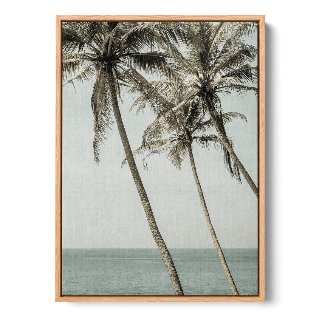 Sun Kissed Canvas