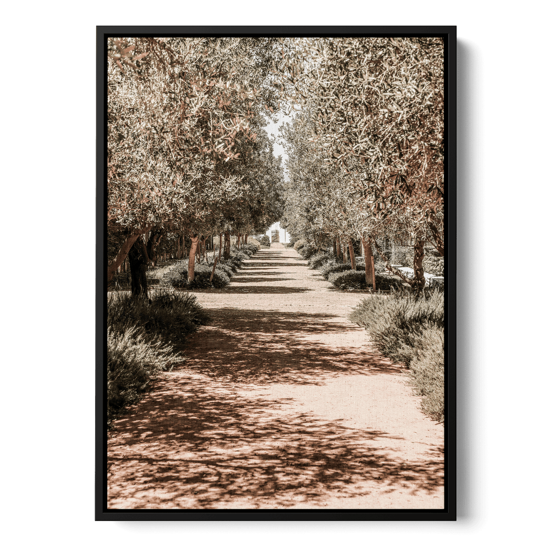 Serene Tree Lined Path Canvas