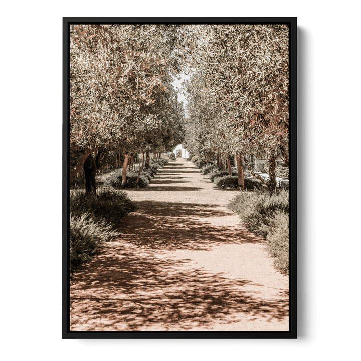 Serene Tree Lined Path Canvas