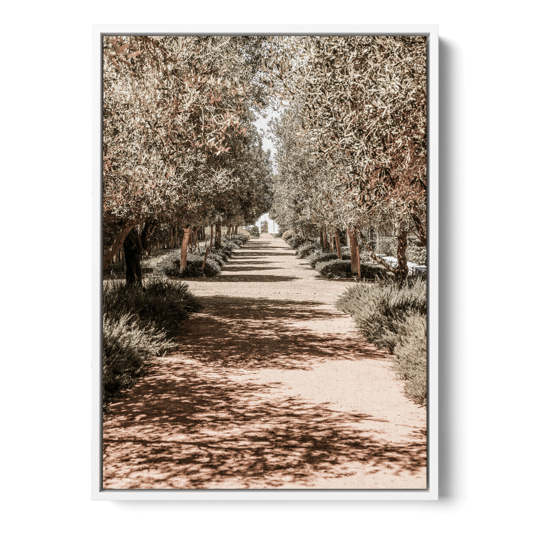 Serene Tree Lined Path Canvas