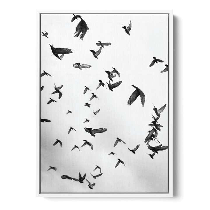 Skyward Symphony Canvas