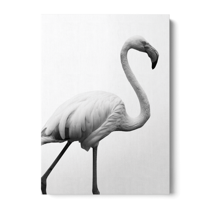 Graceful Silhouette Canvas