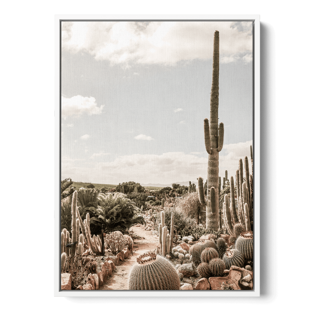 Cactus Farm Canvas