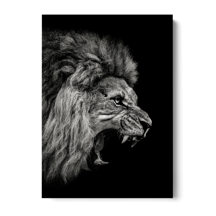 Roaring Lion Canvas
