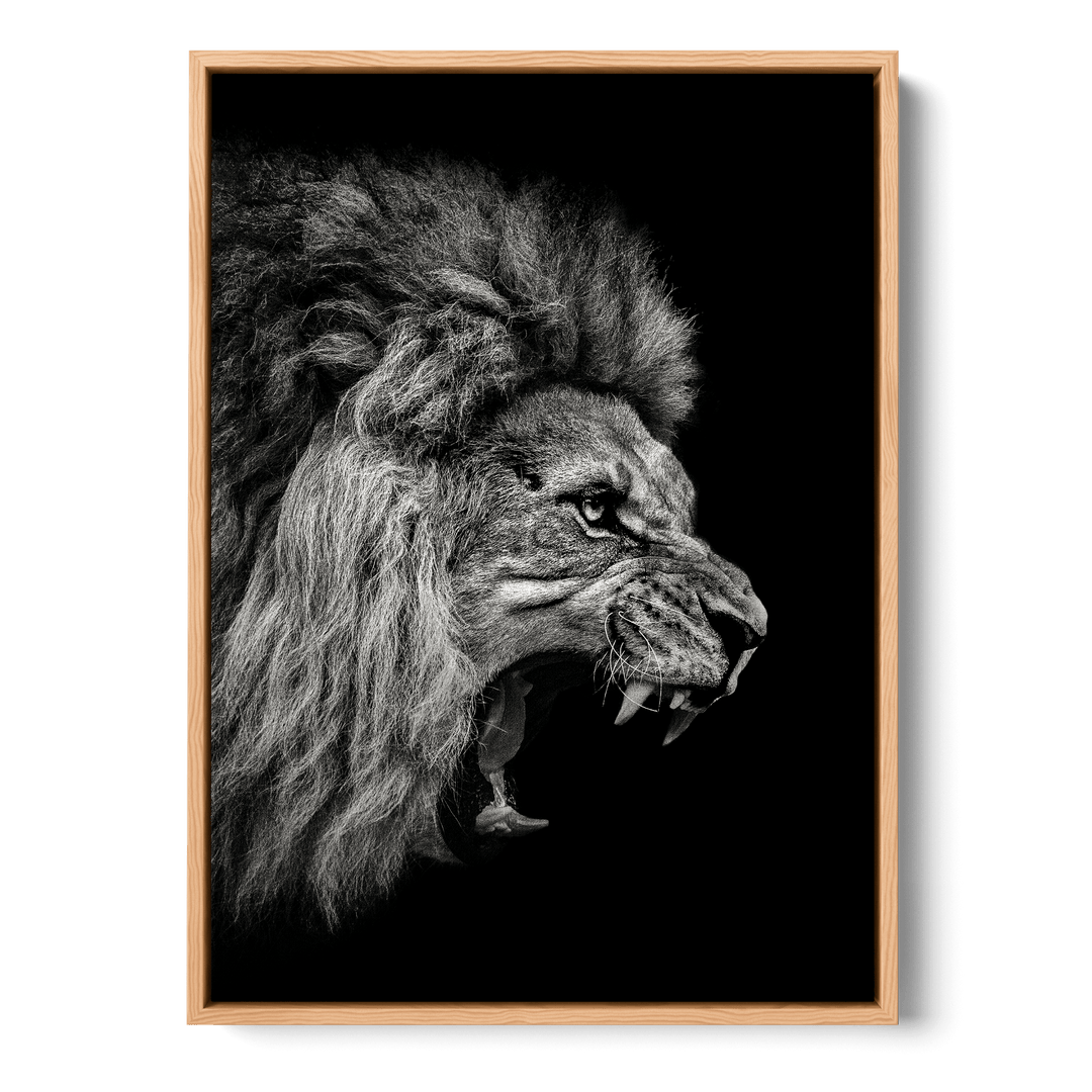 Roaring Lion Canvas