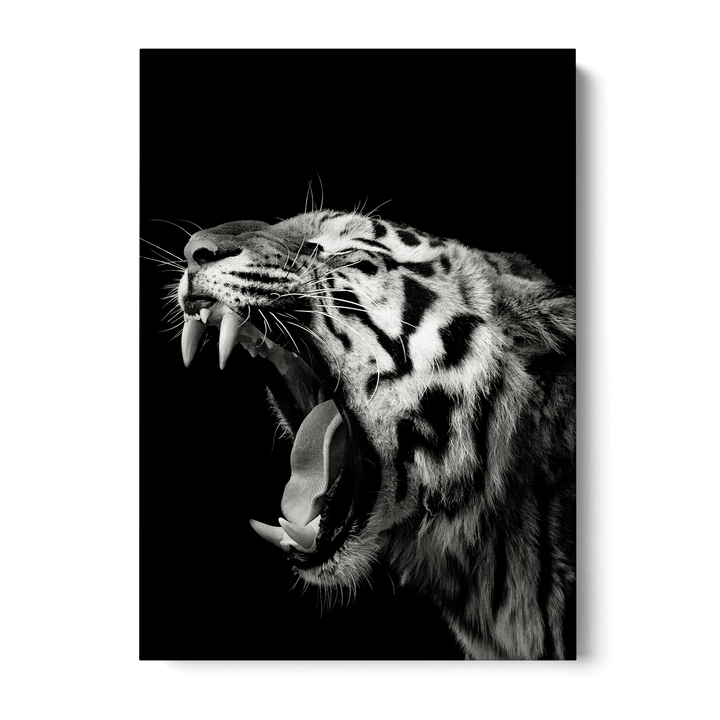 Primal Yawn Canvas