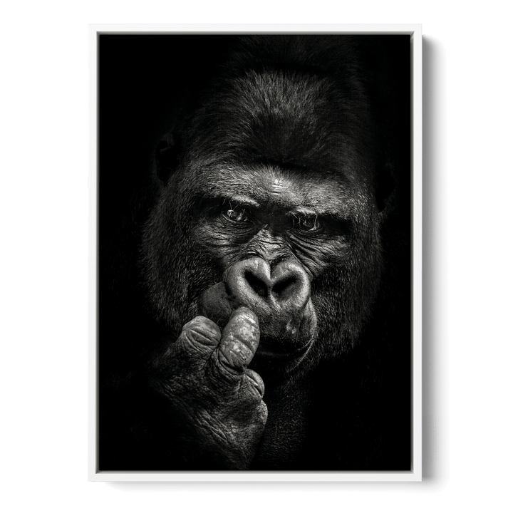Attitude Canvas