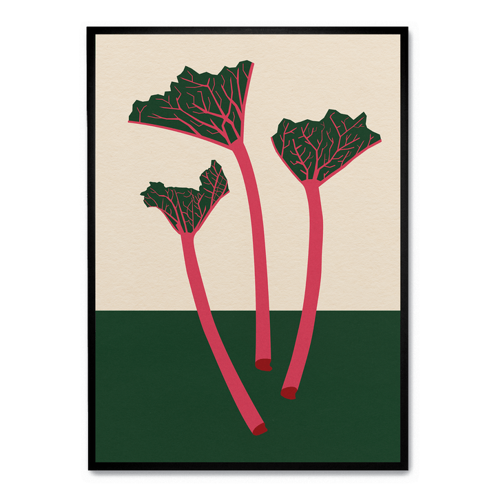 Swedish Garden Rhabarber