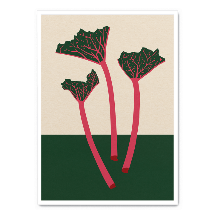 Swedish Garden Rhabarber