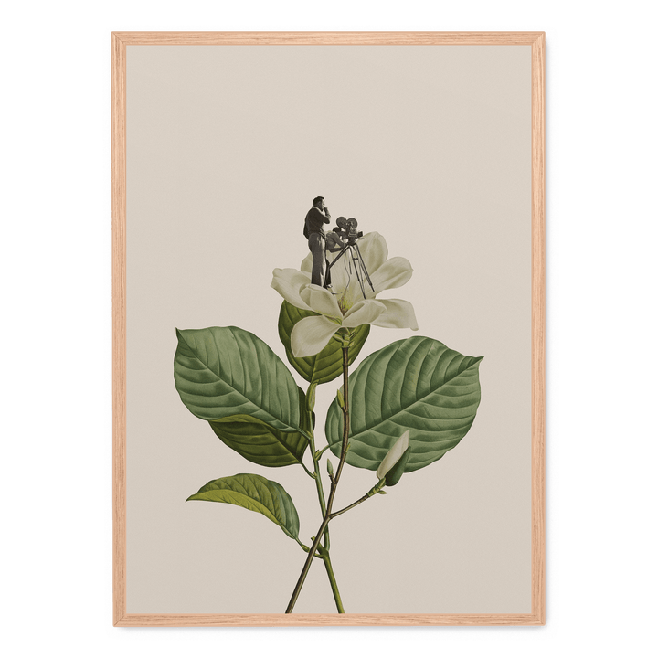 Botanical Vintage Cameraman