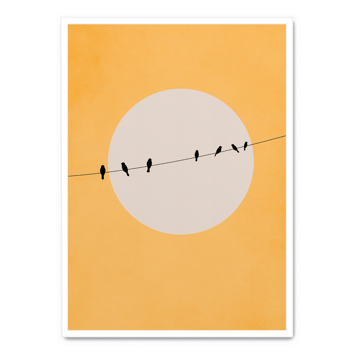 Chirping And Chilling