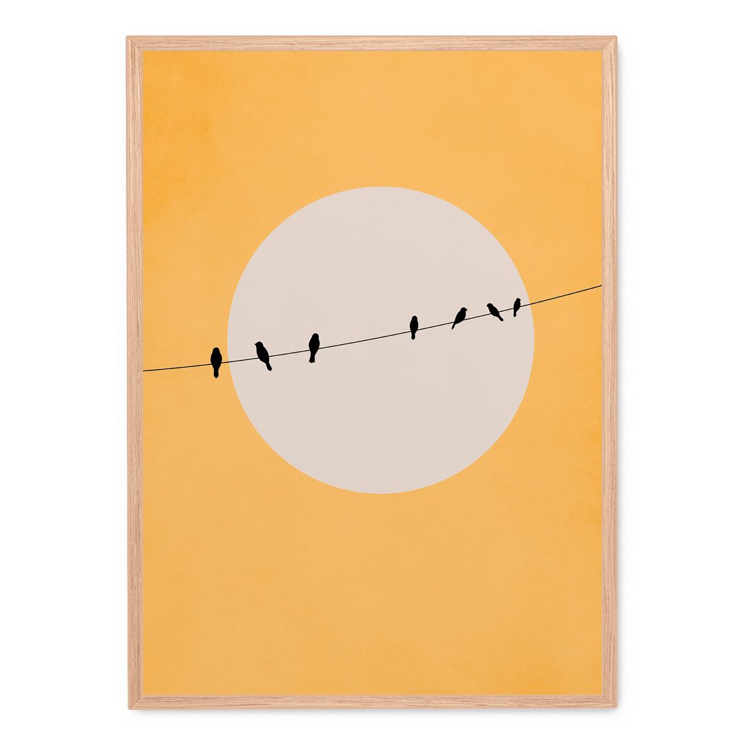 Chirping And Chilling