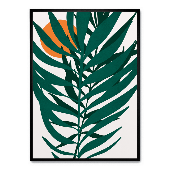 Little Miss Sunshine