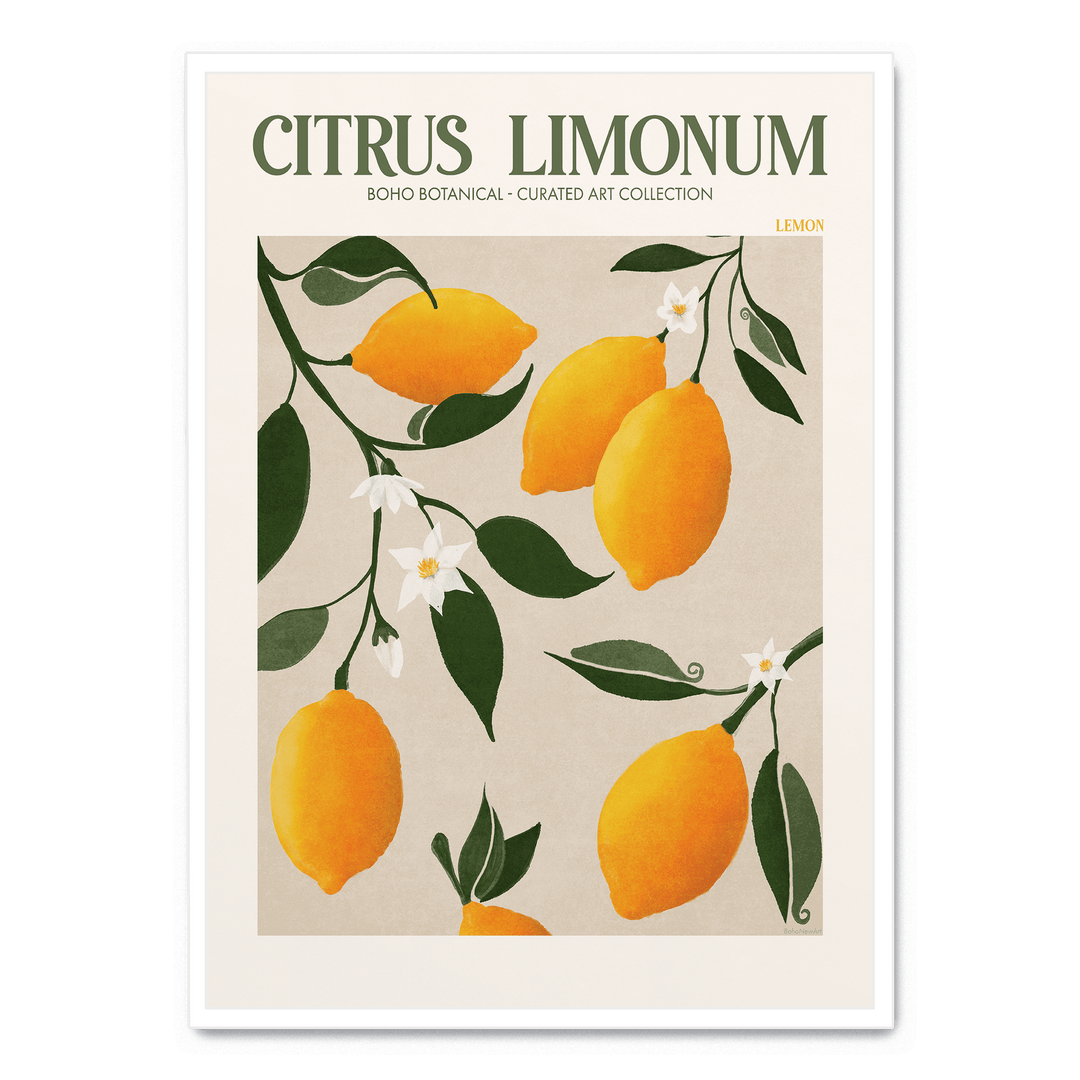 Citrus Limonum