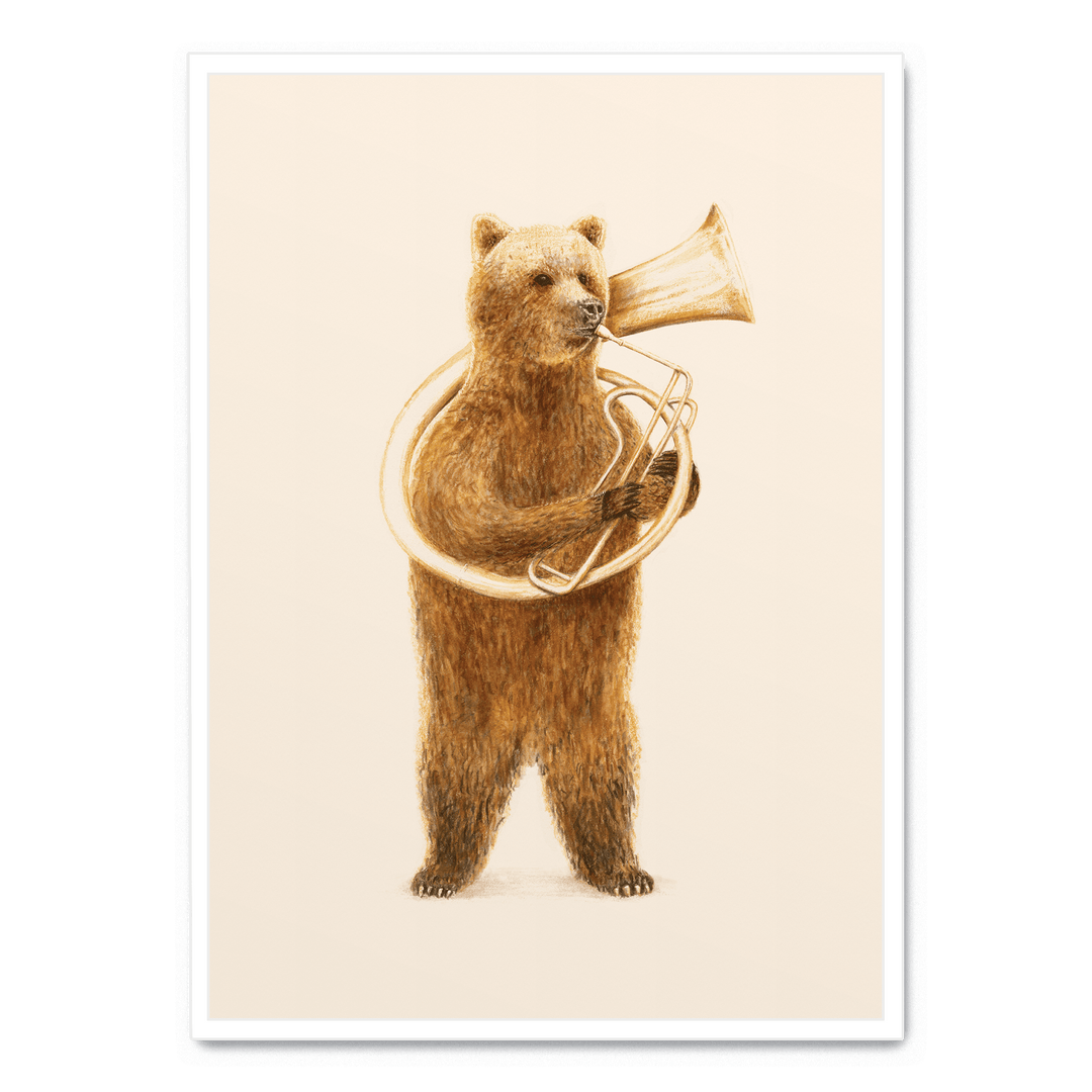 The Bear And His Helicon