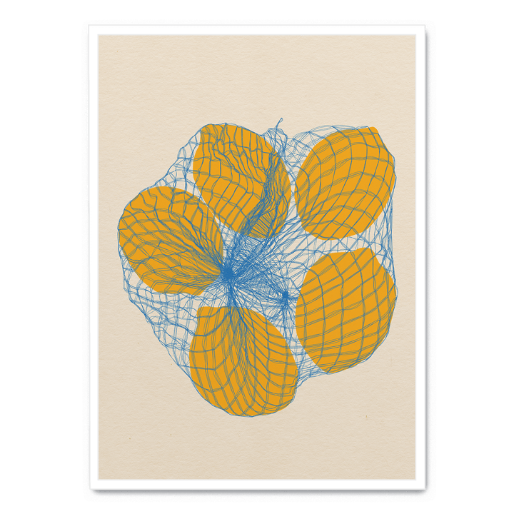 Five Lemons In A Net Bag