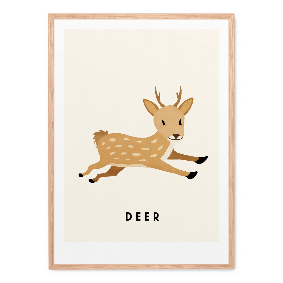 Little Deer