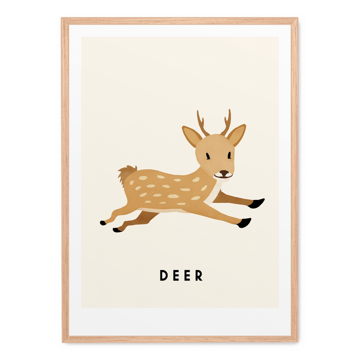 Little Deer
