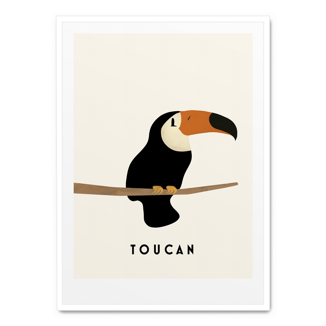 Little Toucan
