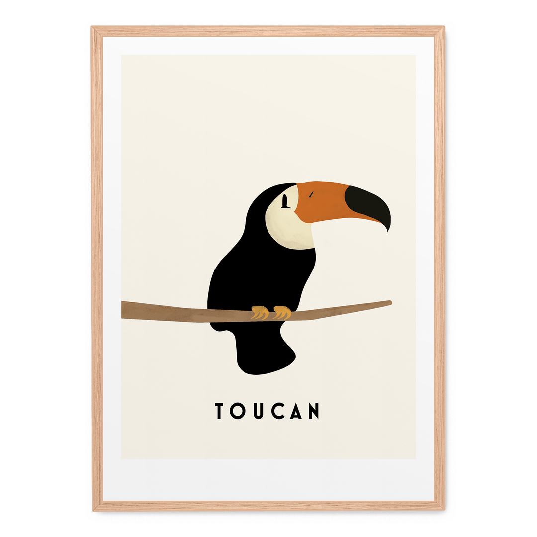 Little Toucan