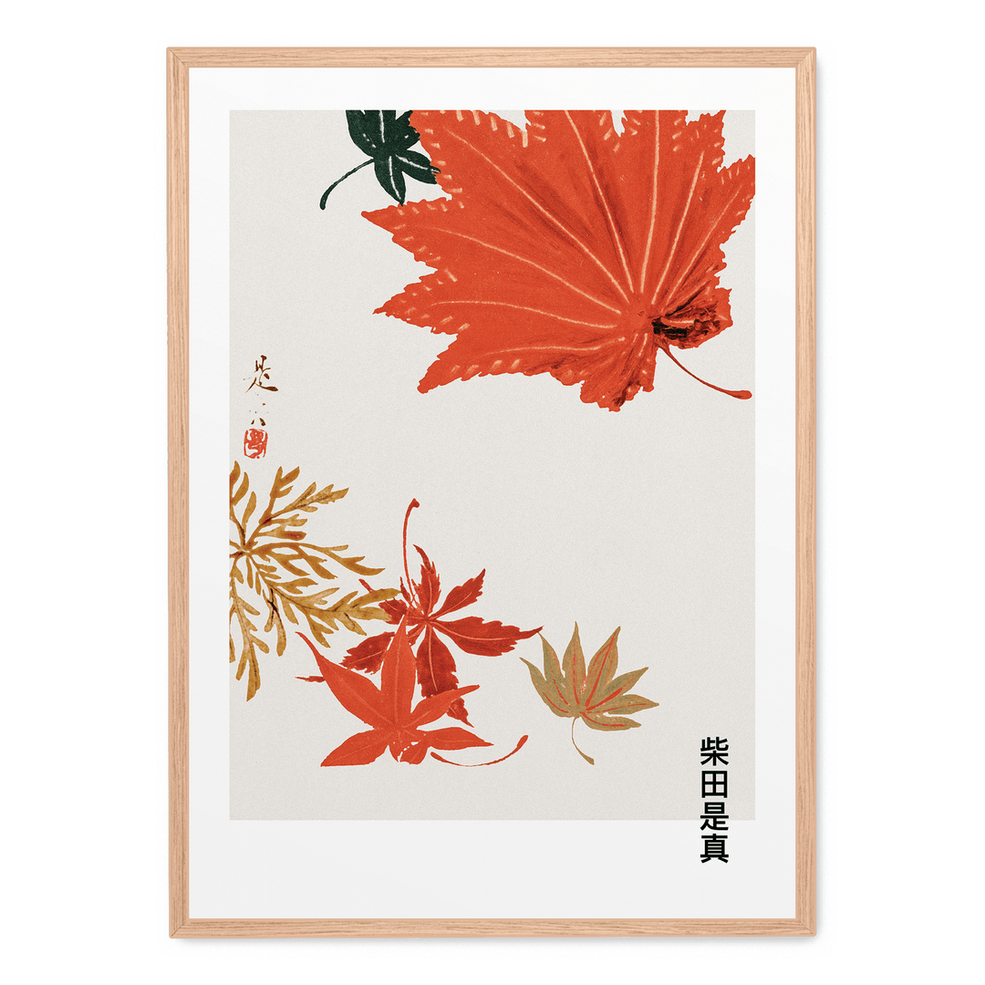 Japanese Leaves