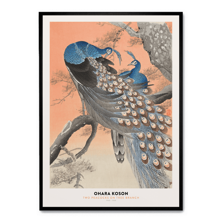Ohara Koson - Two Peacocks Tree Branch
