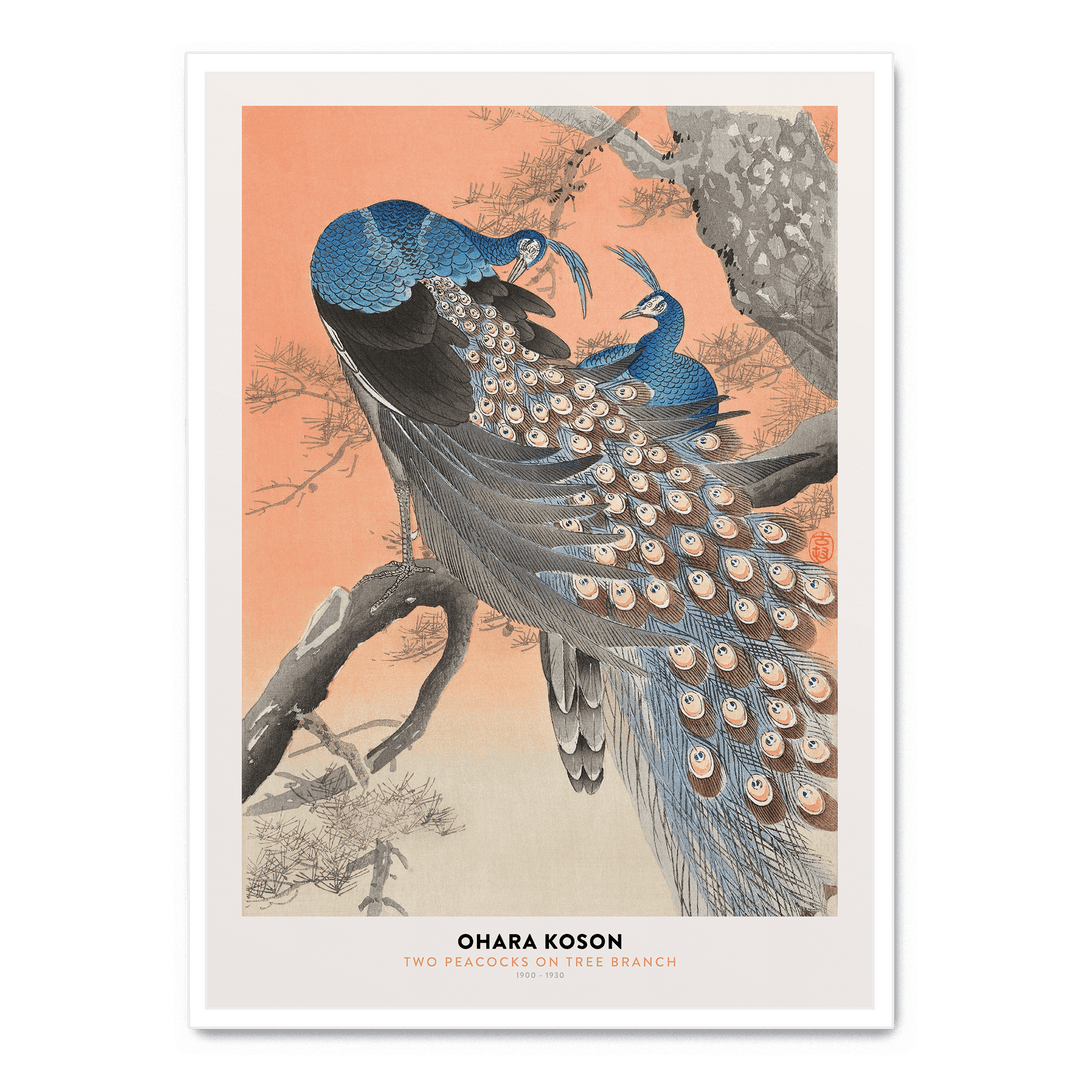 Ohara Koson - Two Peacocks Tree Branch