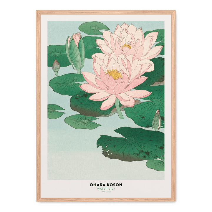 Ohara Koson - Water Lily